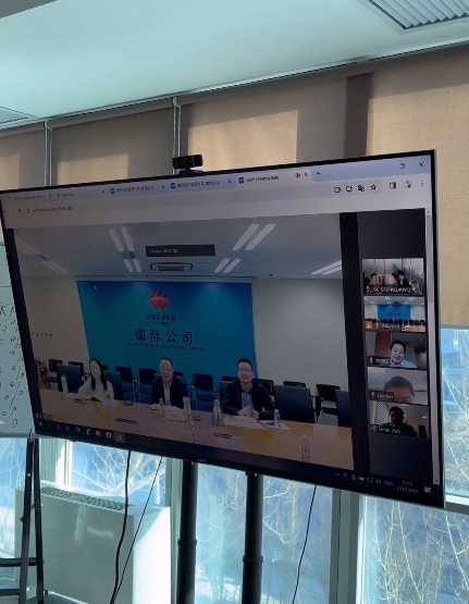 Online meeting with the Chairman of the Board of an International Energy Company
