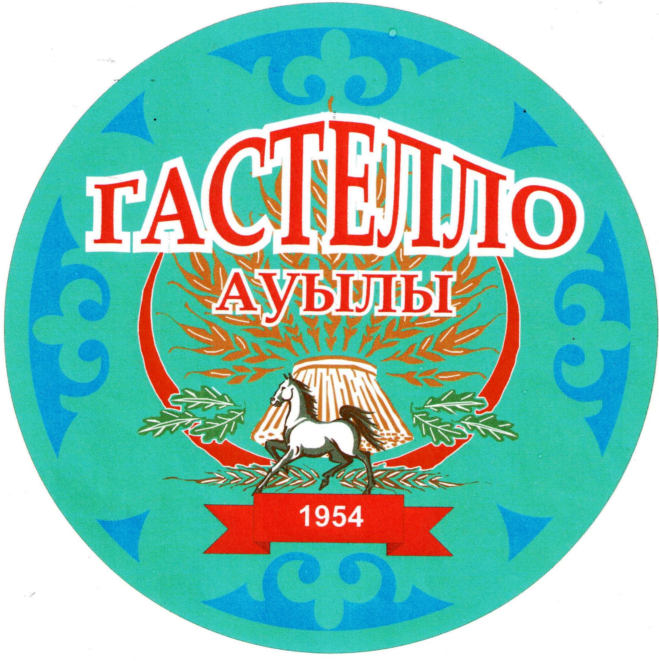 Отчетная встреча акима села Гастелло