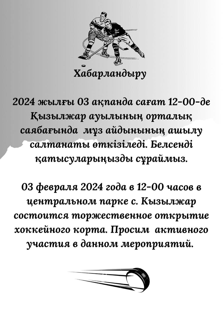 Открытие хоккейного корта