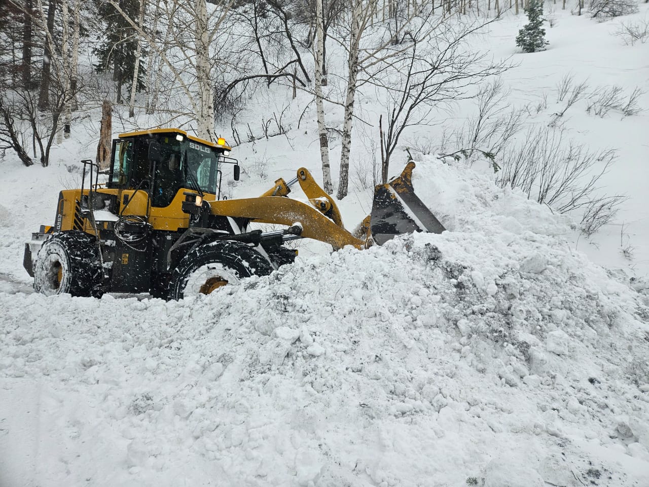 Самопроизвольный сход лавины произошел в Восточном Казахстане