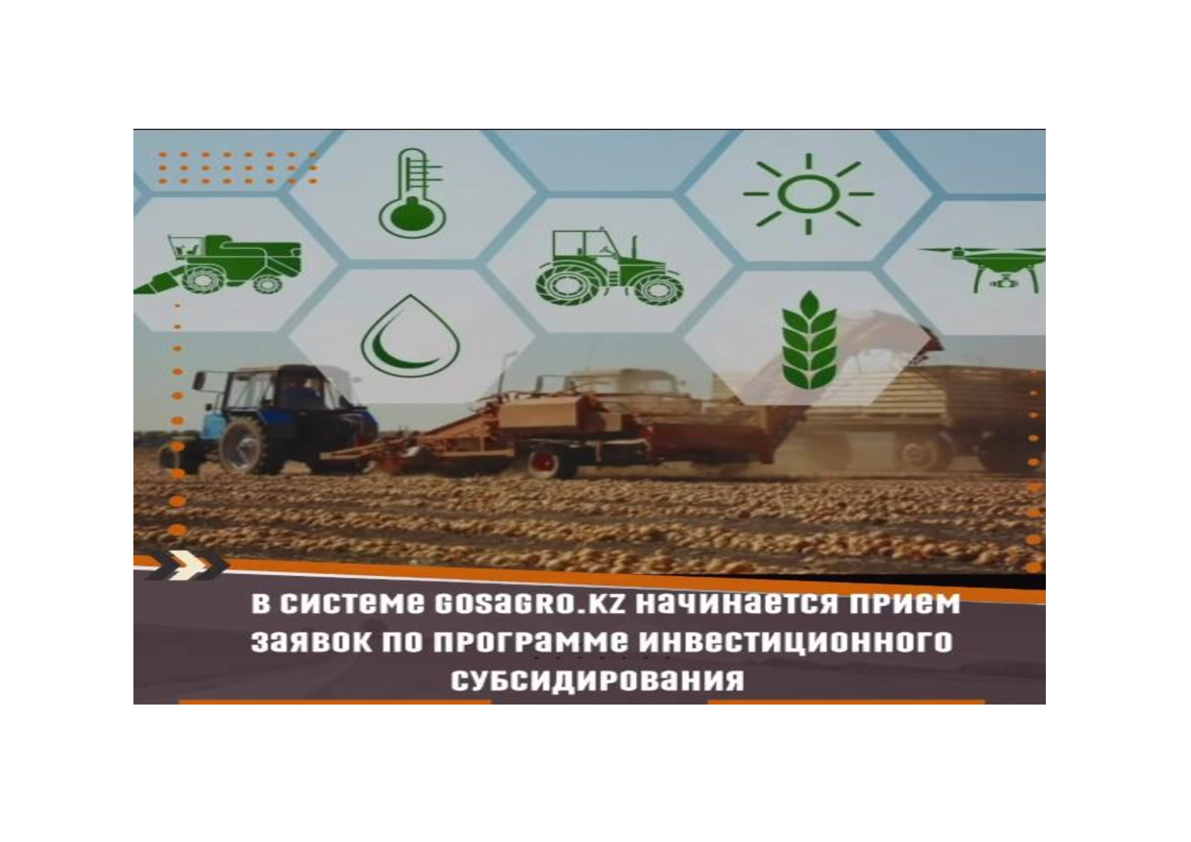 Сельское хозяйство и предпринимательство