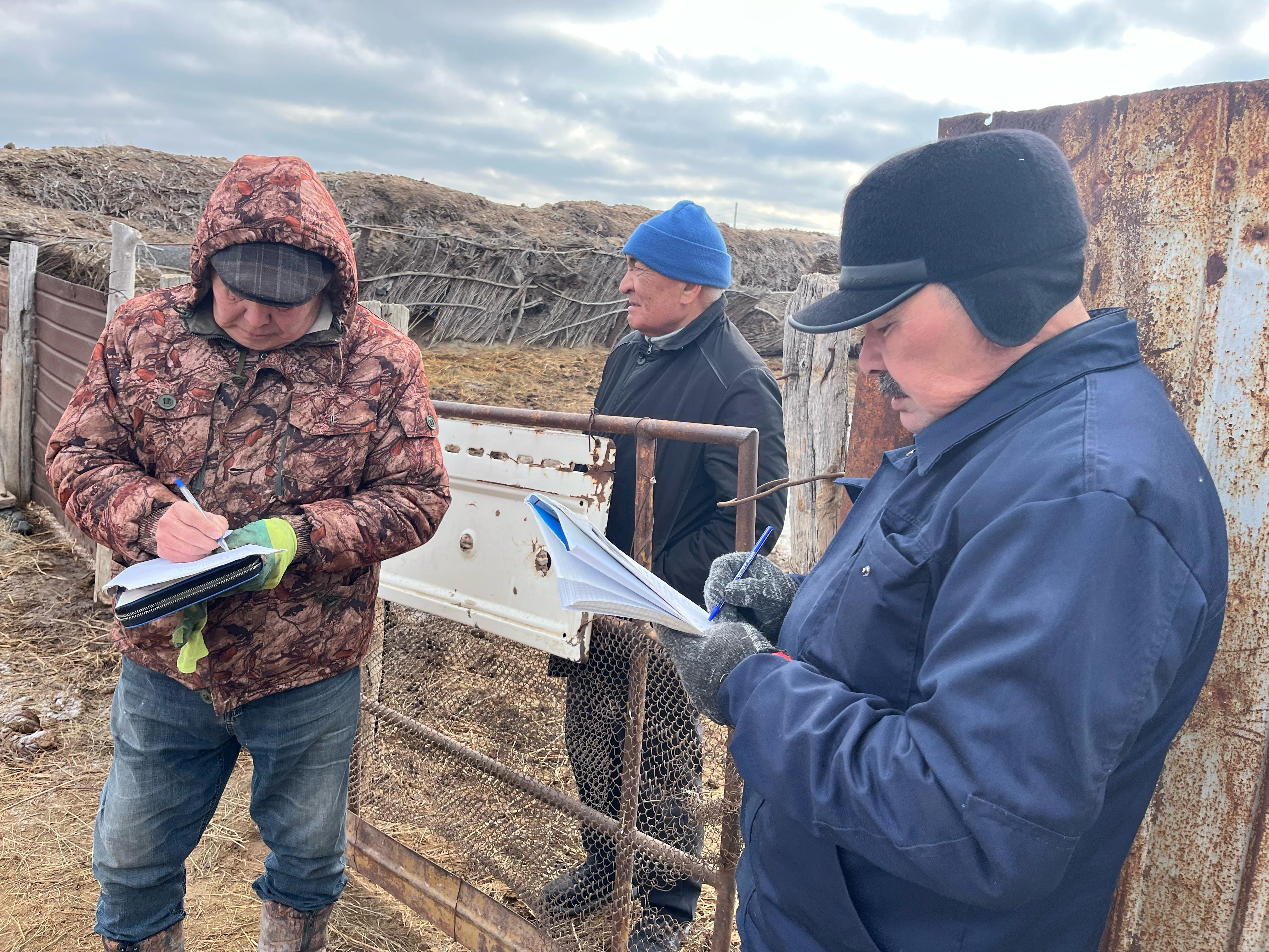 Әдемі транссексуал Жалаңаш жігіттер мас