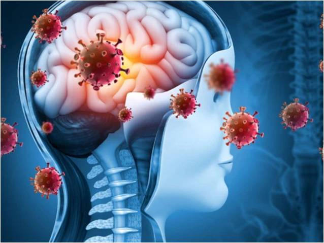 Ақ трусикидегі әйелдердің суреттері