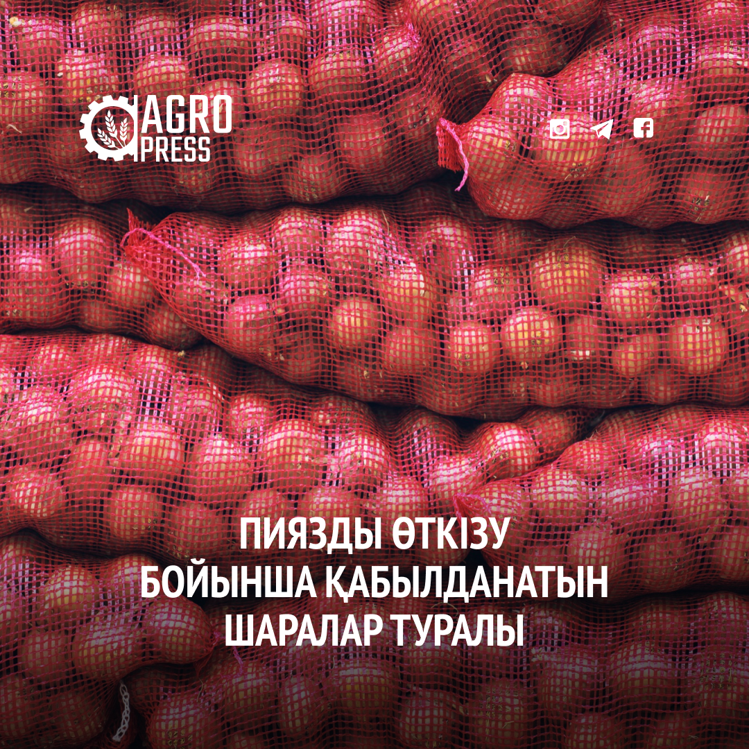 Пиязды өткізу бойынша қабылданатын шаралар туралы