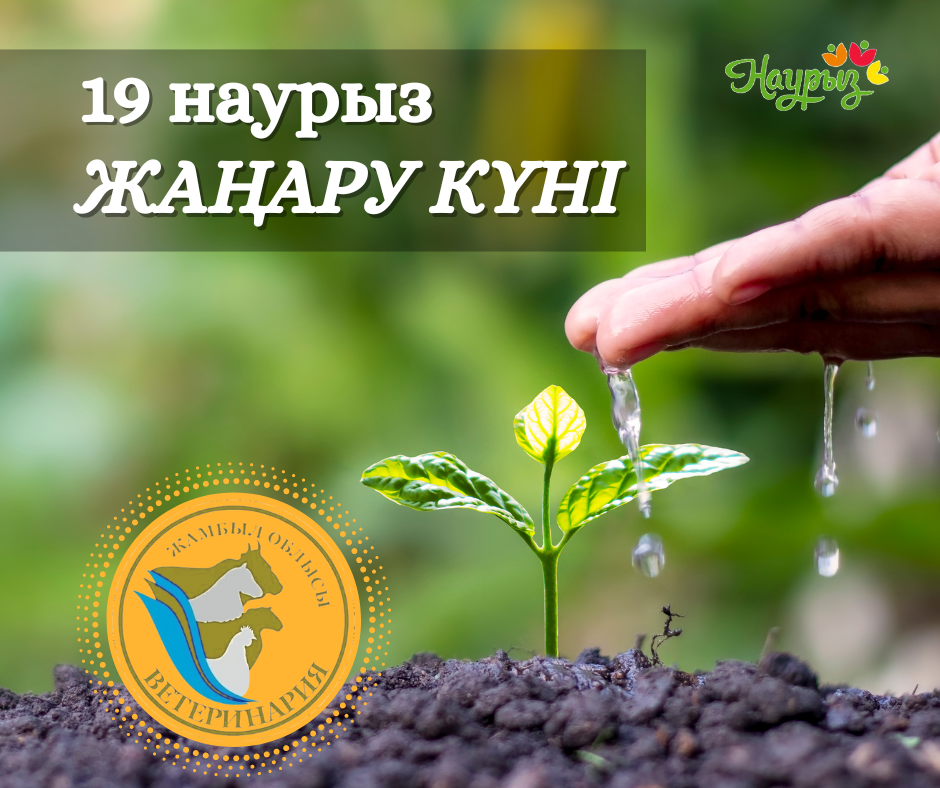 19 наурыз жаңару күні