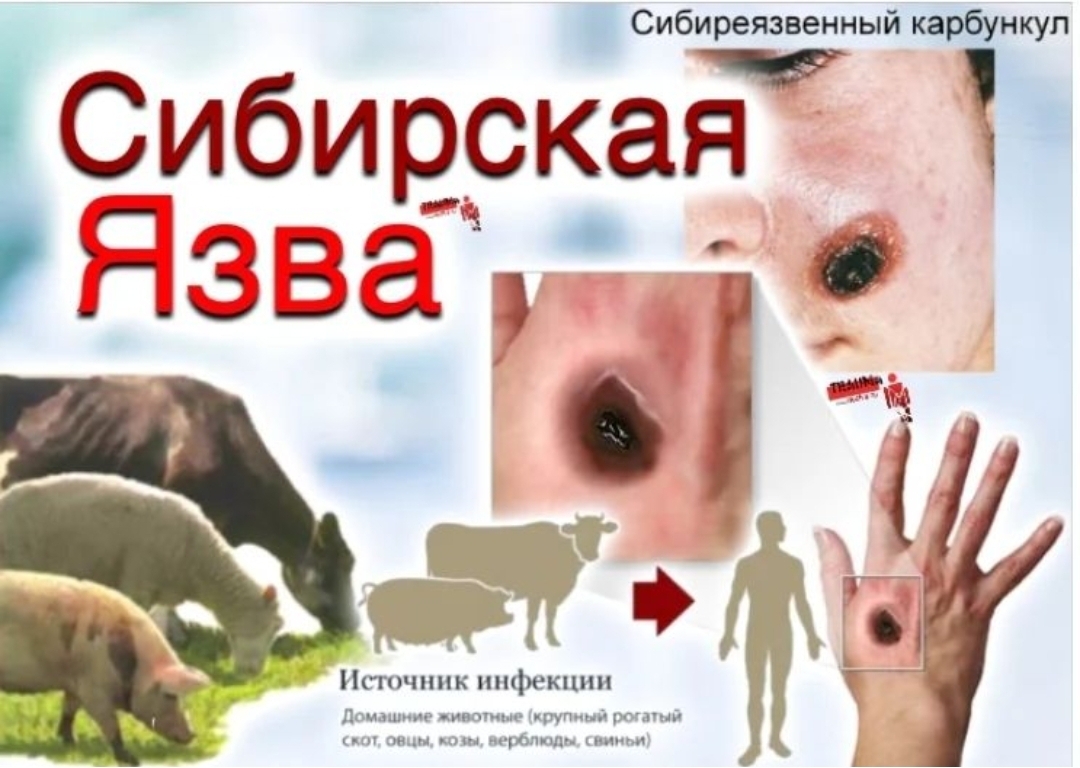 Сібір ауылының жалаңаш қызы