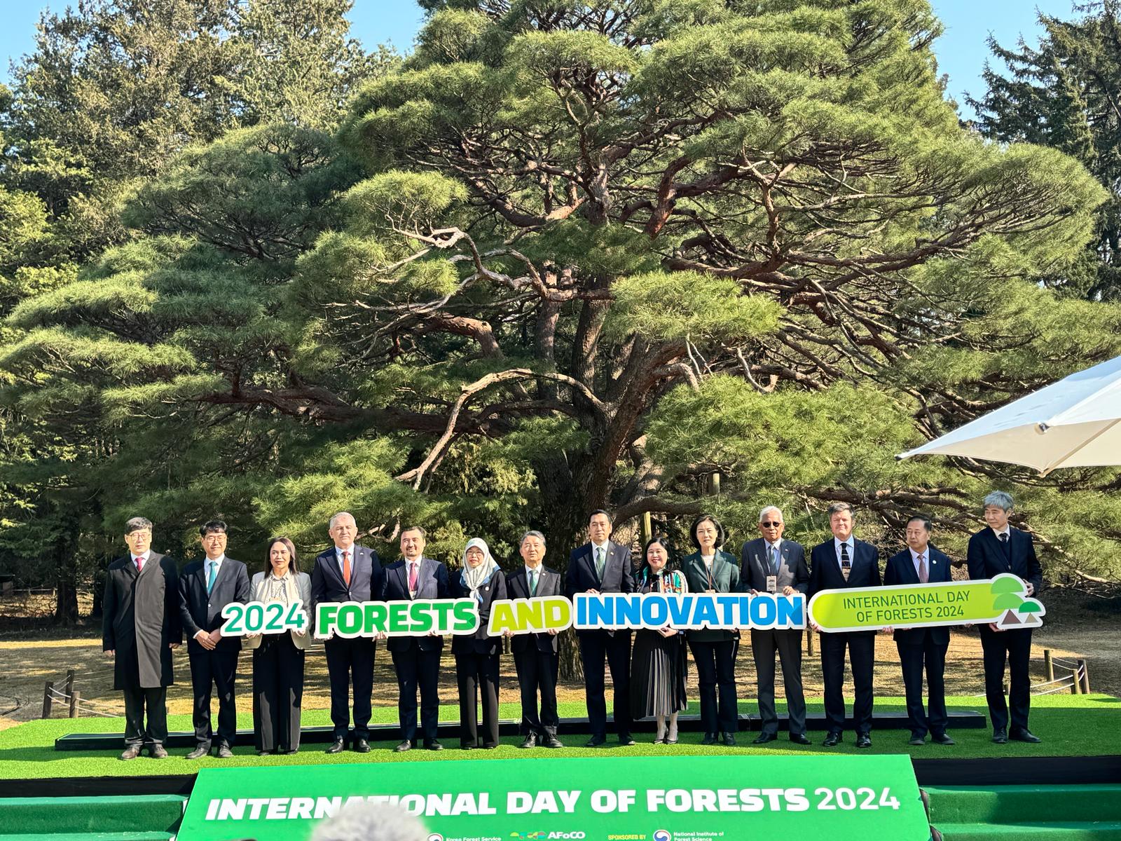 Углубляется сотрудничество в области лесного хозяйства между Казахстаном и Кореей