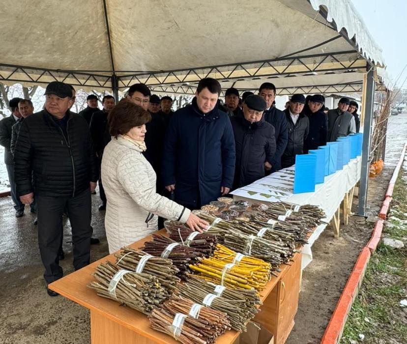 В ТУРКЕСТАНСКОЙ ОБЛАСТИ ПРОШЕЛ СЕМИНАР-СОВЕЩАНИЕ ПО ОЗЕЛЕНЕНИЮ НАСЕЛЕННЫХ ПУНКТОВ