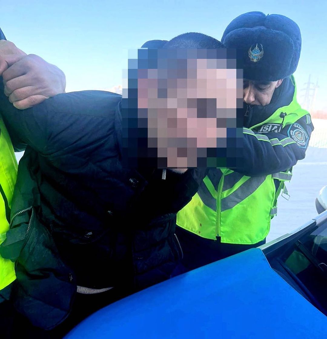 Олар әртүрлі заттарды киска мен есекке итереді