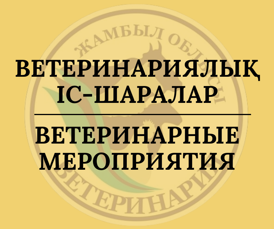 Ветеринариялық іс-шаралар