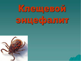 Клещевой энцефалит