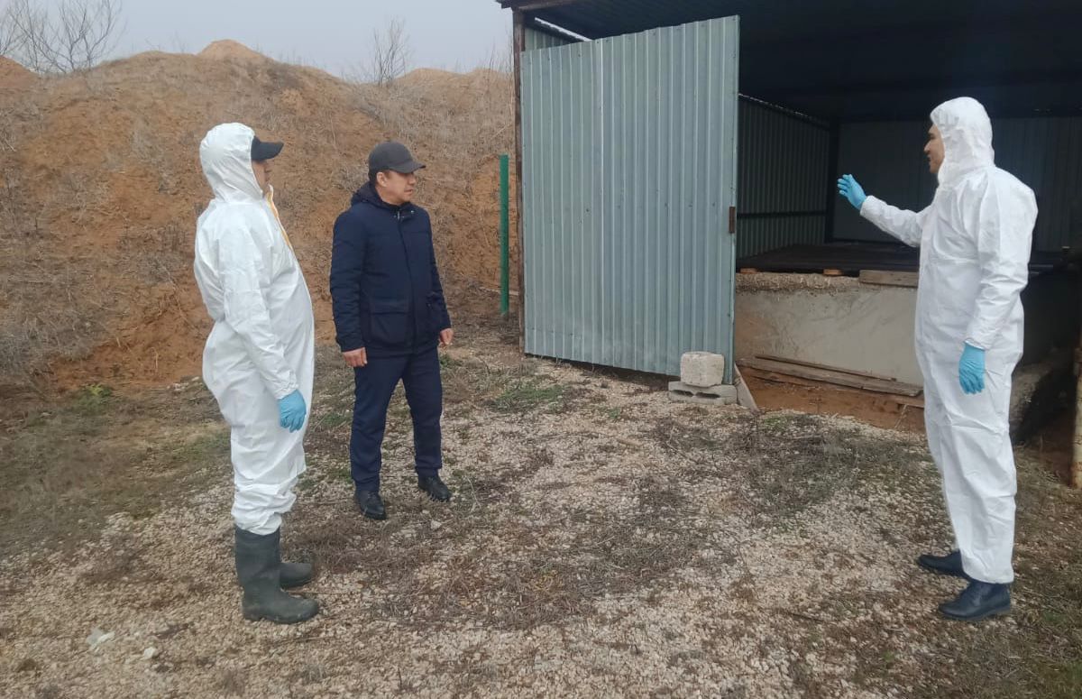 В регионе подсчитывают погибший при паводке скот