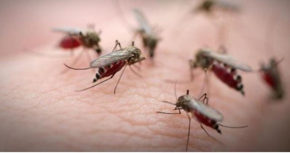 Желіде ұйықтап жатқан әйелді сиқыту