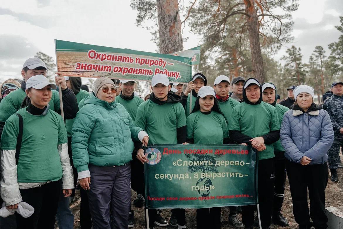 В Семее высажено более 23 тысяч саженцев