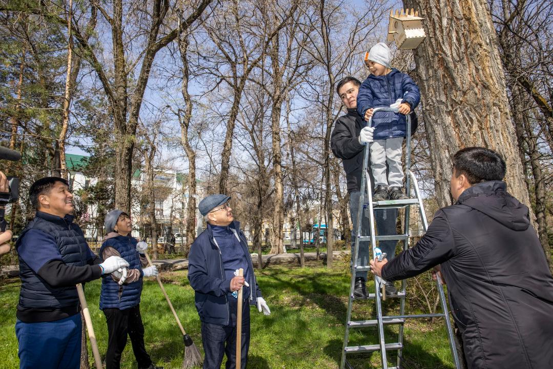 Установка скворечника на дереве