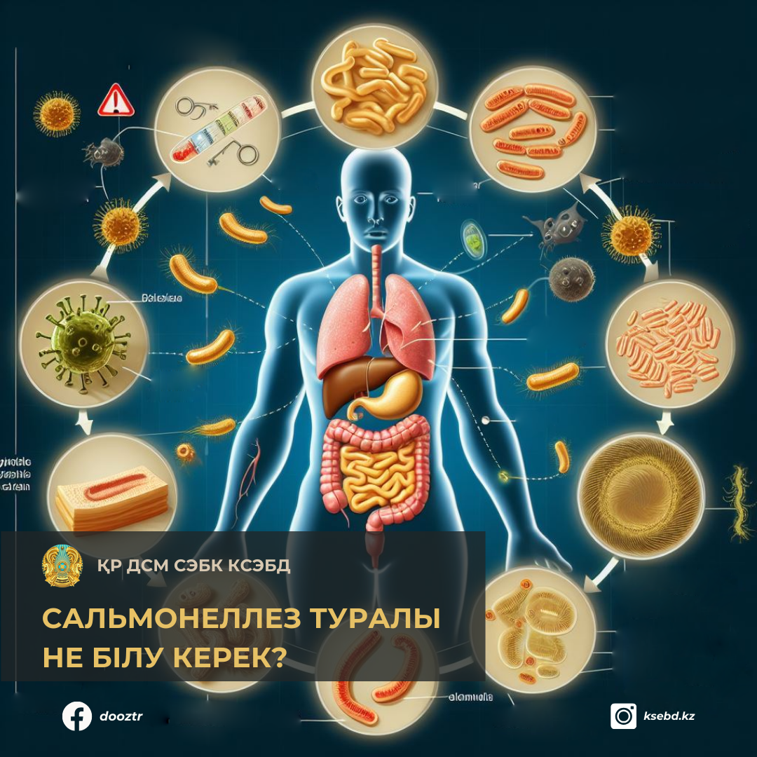 Сальмонеллез туралы не білу керек?