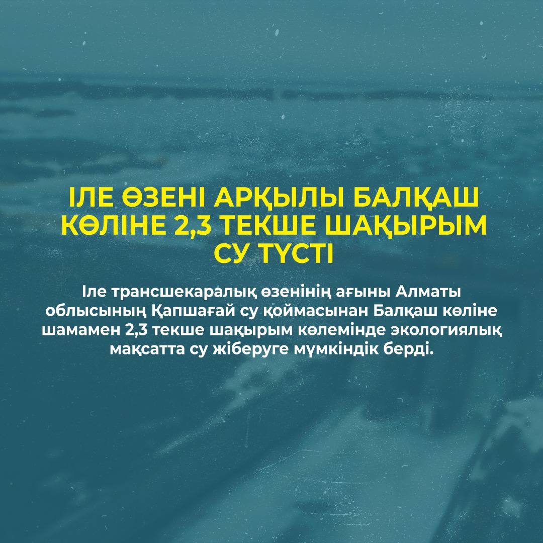 Іле өзені арқылы Балқаш көліне 2,3 текше шақырым су түсті