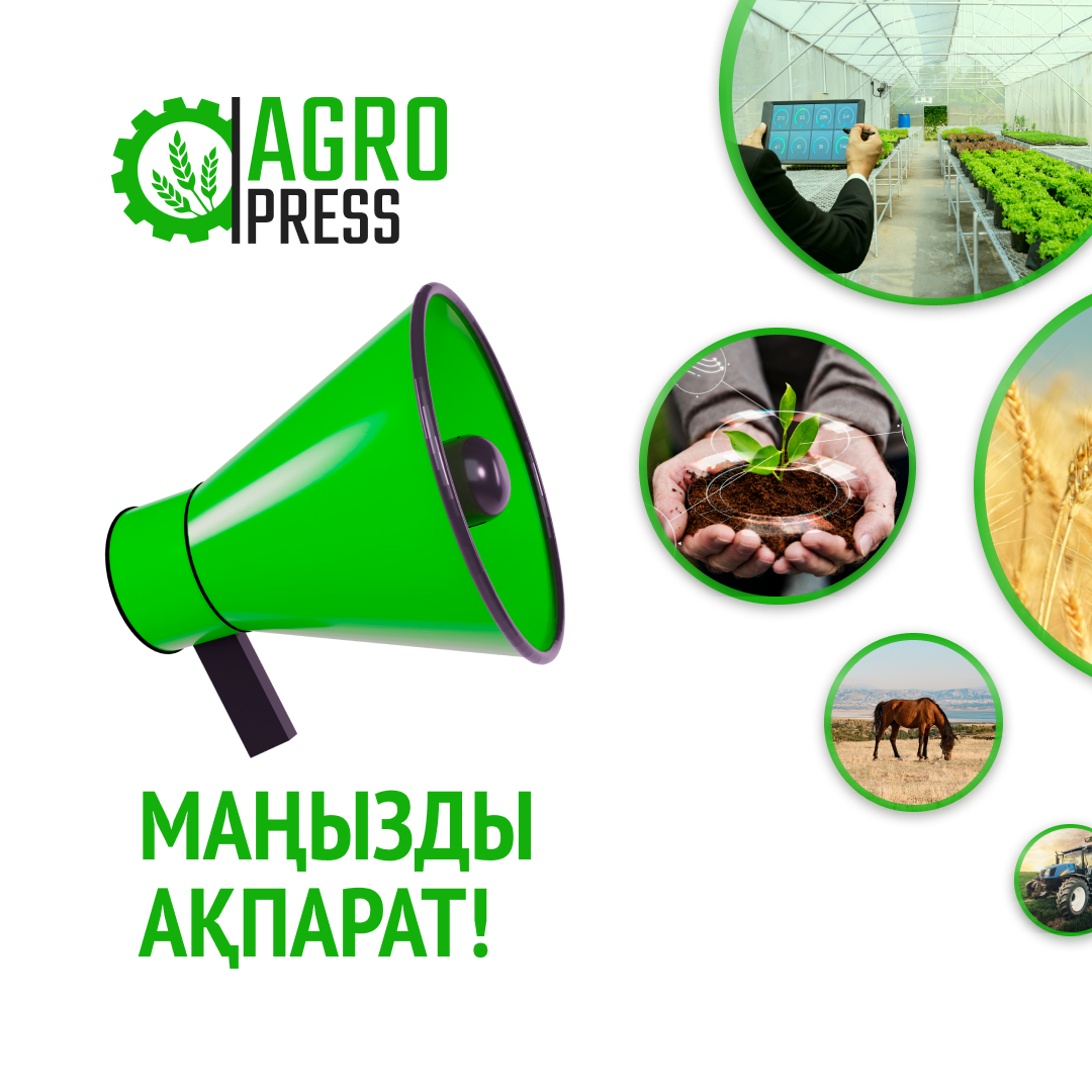 Су тасқыны бойынша ахуалға қатысты Ауыл шаруашылығы министрлігінің мәлімдемесі