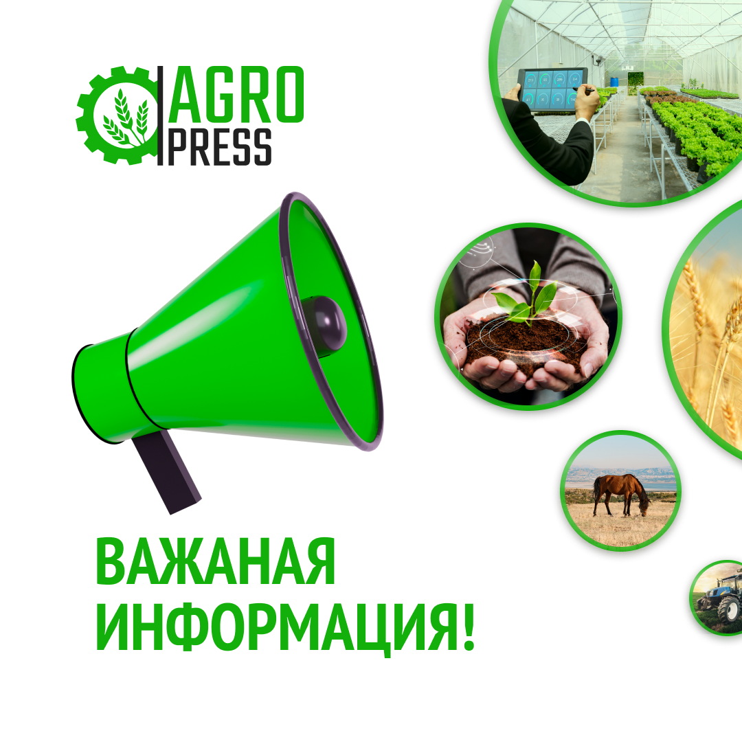 Штаб по противодействию паводкам: организована работа по перемещению скота в безопасные места выпаса