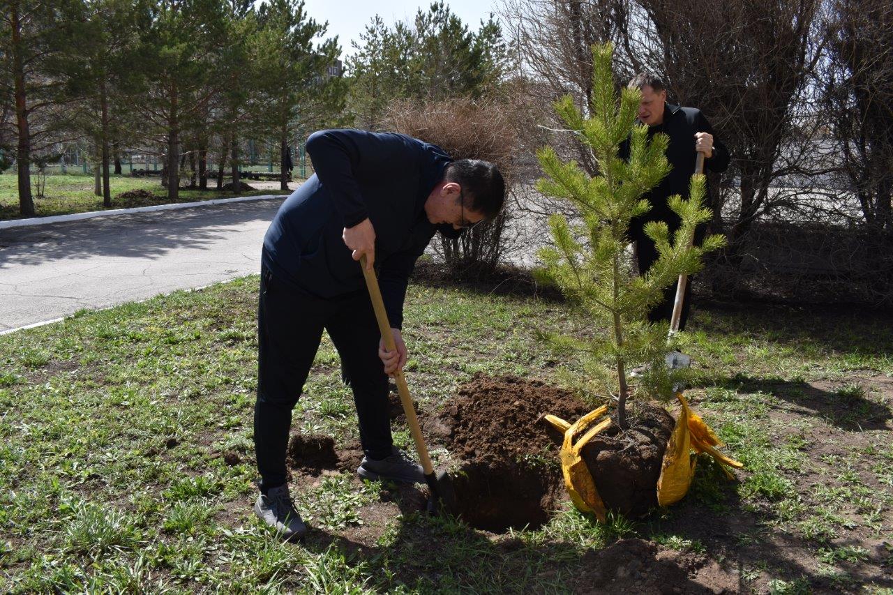 Работники прокуратуры Карагандинской области,  а также городских и районных прокуратур приняли участие в экологической акции «Таза Қазақстан»