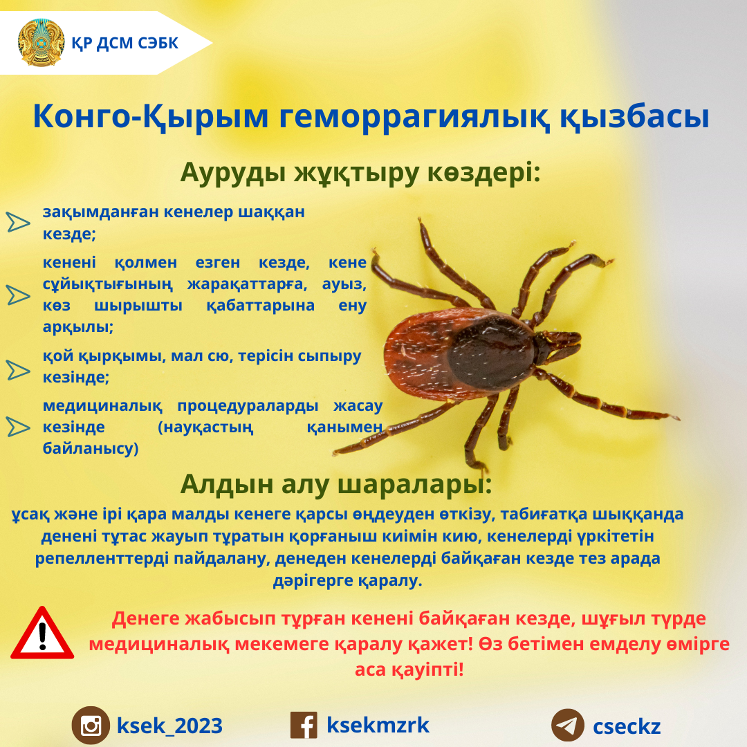 Рита Челмакова порнода