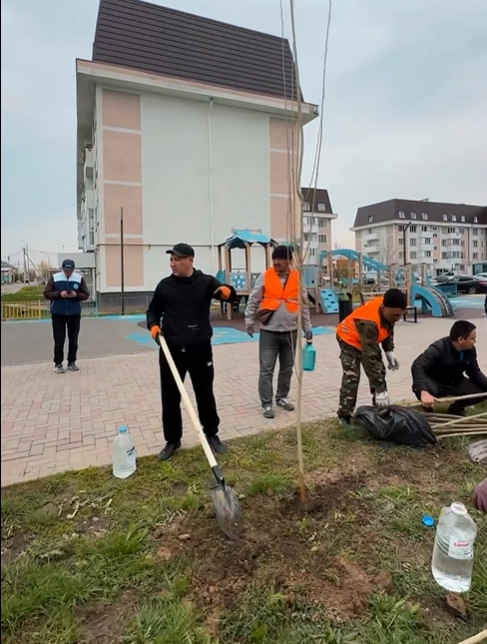 Алматы – біздің ортақ үйіміз: Саялы шағын ауданында жас ағаштар отырғызылды