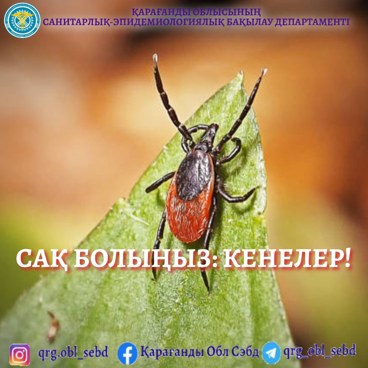 Абайлаңыз - кенелер!