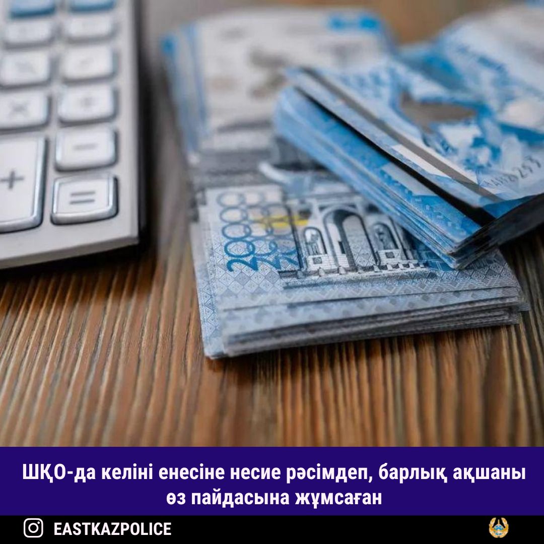 ШҚО-да келіні енесіне несие рәсімдеп, барлық ақшаны өз пайдасына жұмсаған