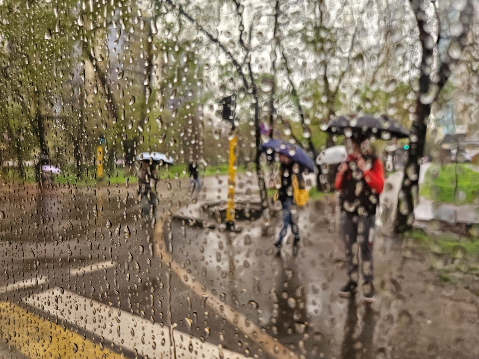 В Алматы пройдут продолжительные дожди