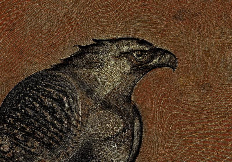 Түкті сығандардың порно видеолары