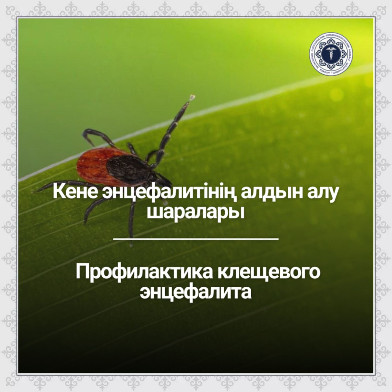 Порноға қарап тұрған қыздар Бір жарым метрлік дилдо онлайн