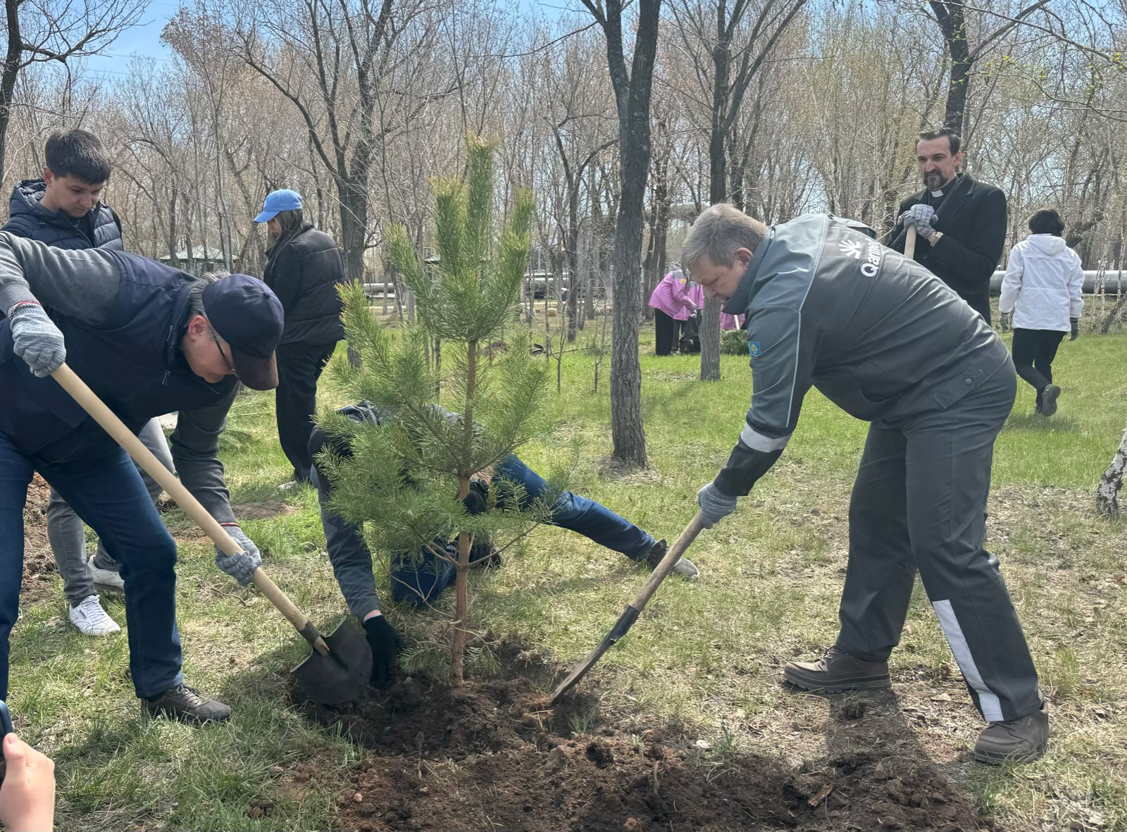 В парке запланировали посадить 1200 деревьев. В парке запланировали посадить 1200 деревьев