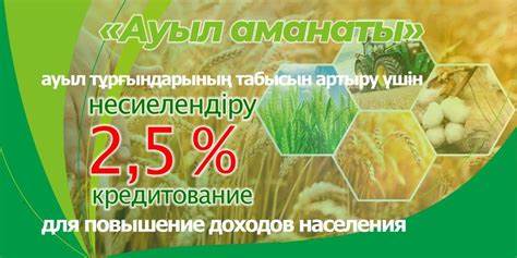 Программа "Ауыл аманаты"