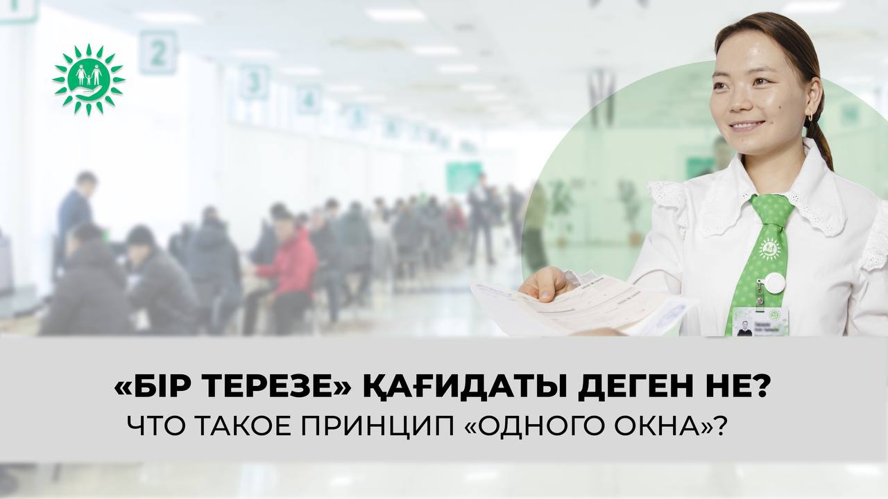 О принципе "одного окна", по которому работает "Правительство для граждан"