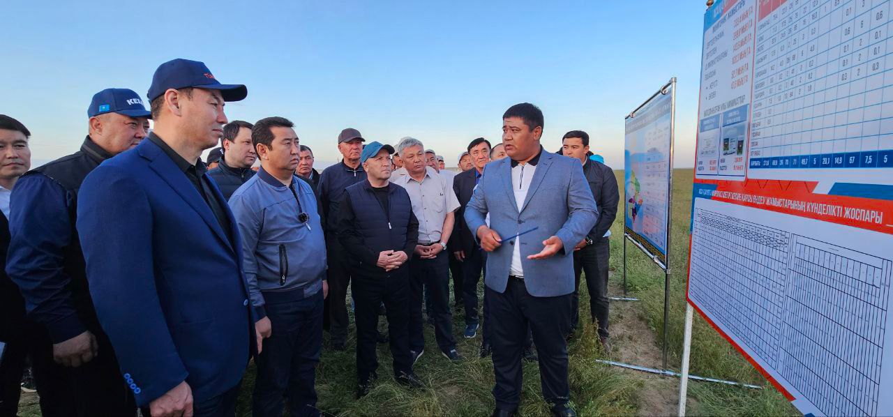 111 тыс. га обработано в Туркестанской области против саранчовых