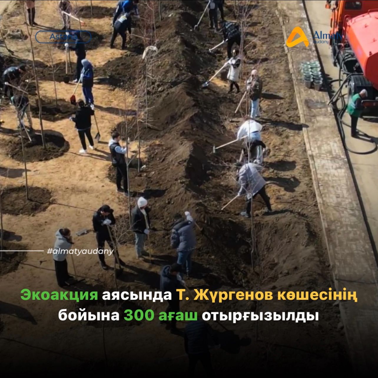 В рамках акции по улице Т. Жургенова посажено 300 деревьев.