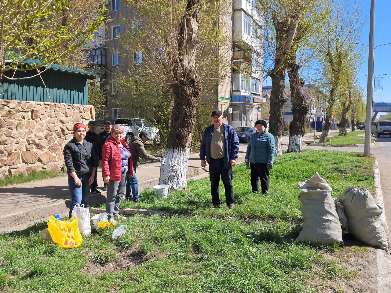 Жалпықалалық сенбілік