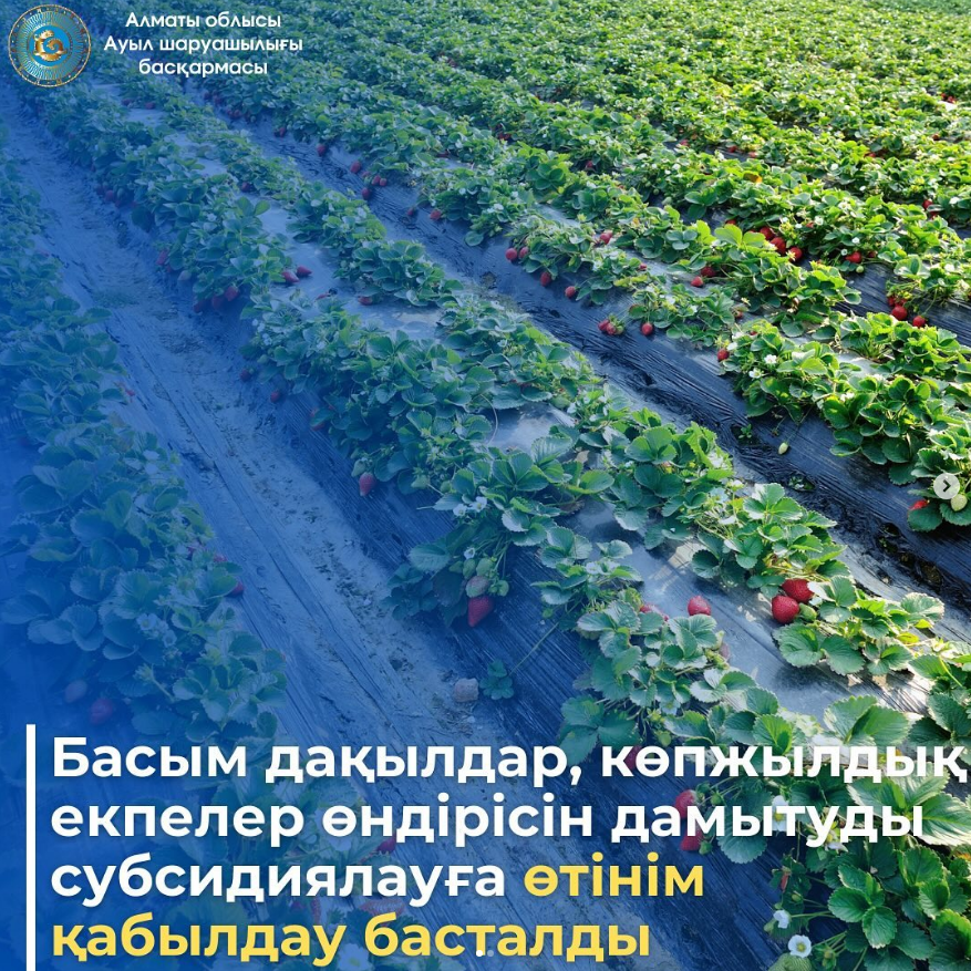 🔰 Департамент сельского хозяйства Алматинской области
