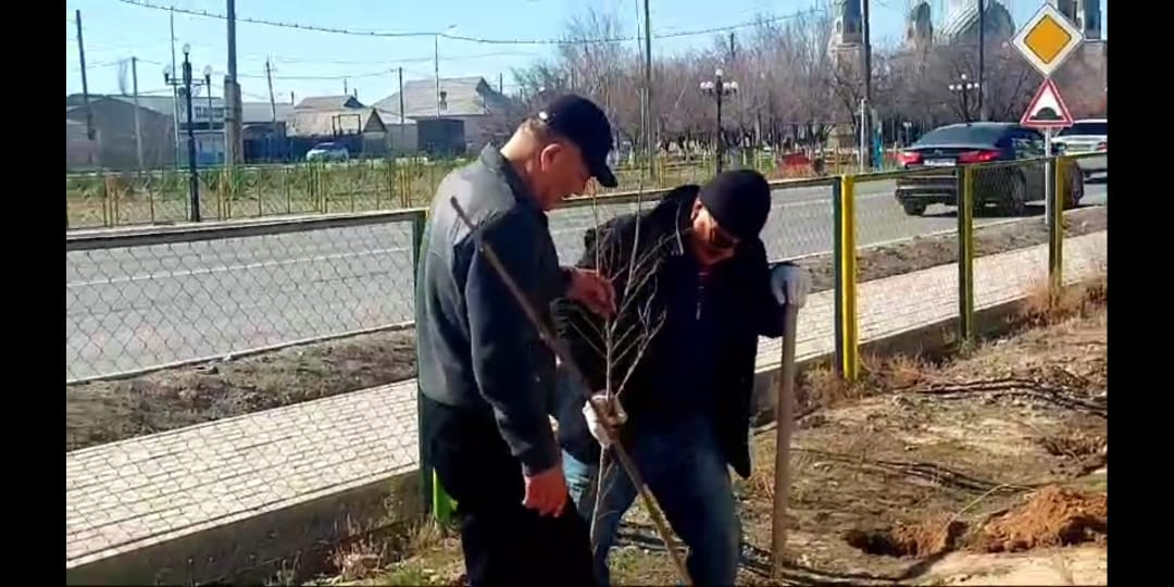 День обновления