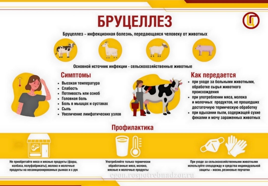 Порно жұлдызы тәтті Лопес Түнгі секс 2 (цензурасыз, вируссыз)