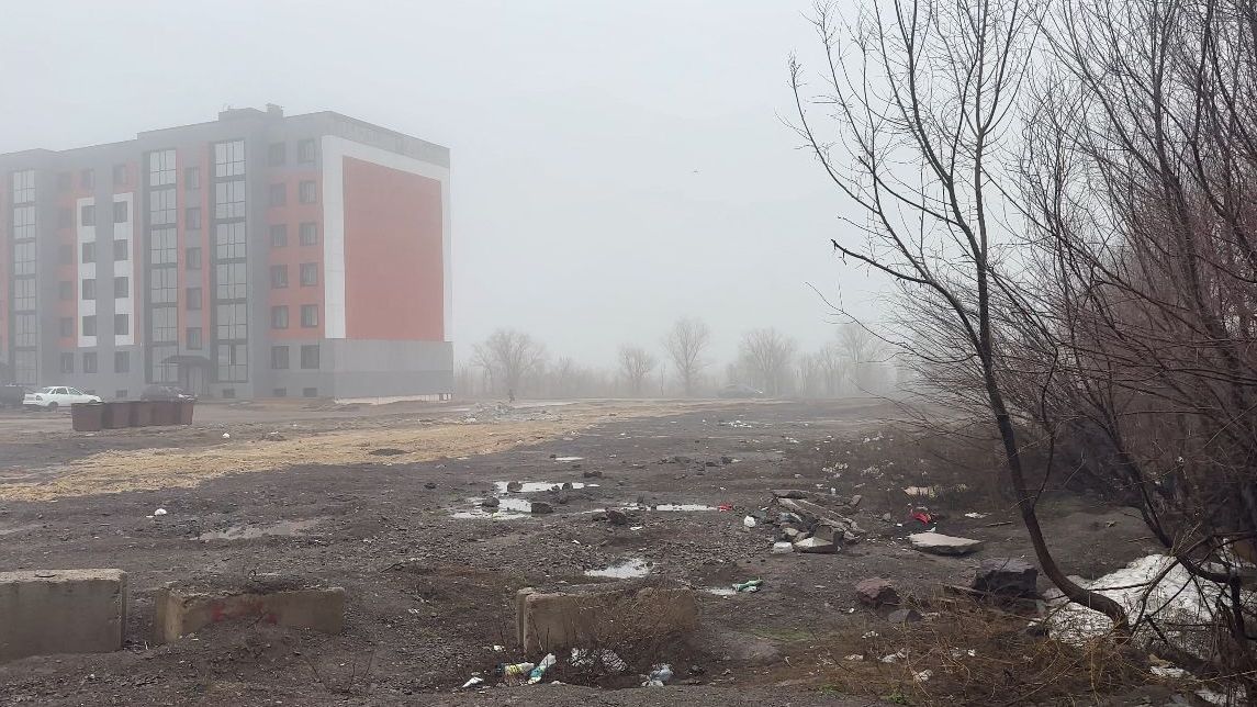 Около тысячи мешков мусора вывезли во время субботника в районе Алихана Бокейхана