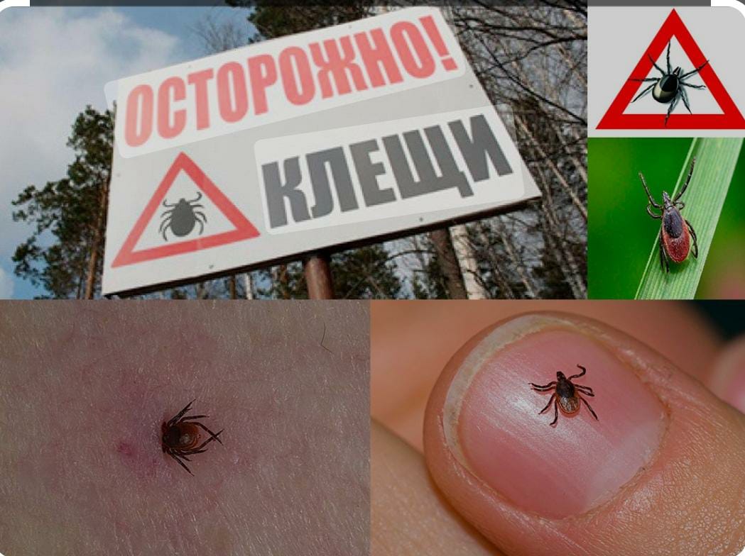 АБАЙЛАҢЫЗ, КЕНЕ!