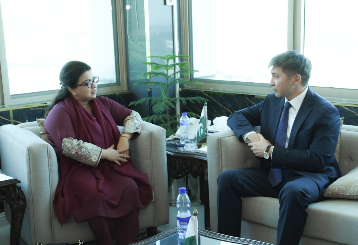 Kazakhstan and Pakistan Intend to Develop Cooperation in IT Sector