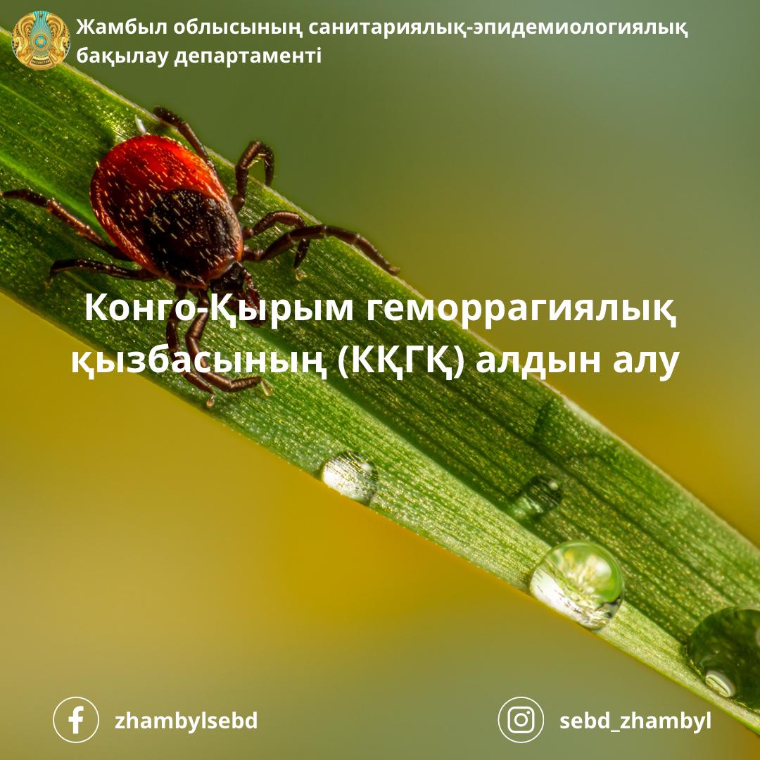 Әйелдің жыныстық қатынасқа дейінгі эротикалық биі