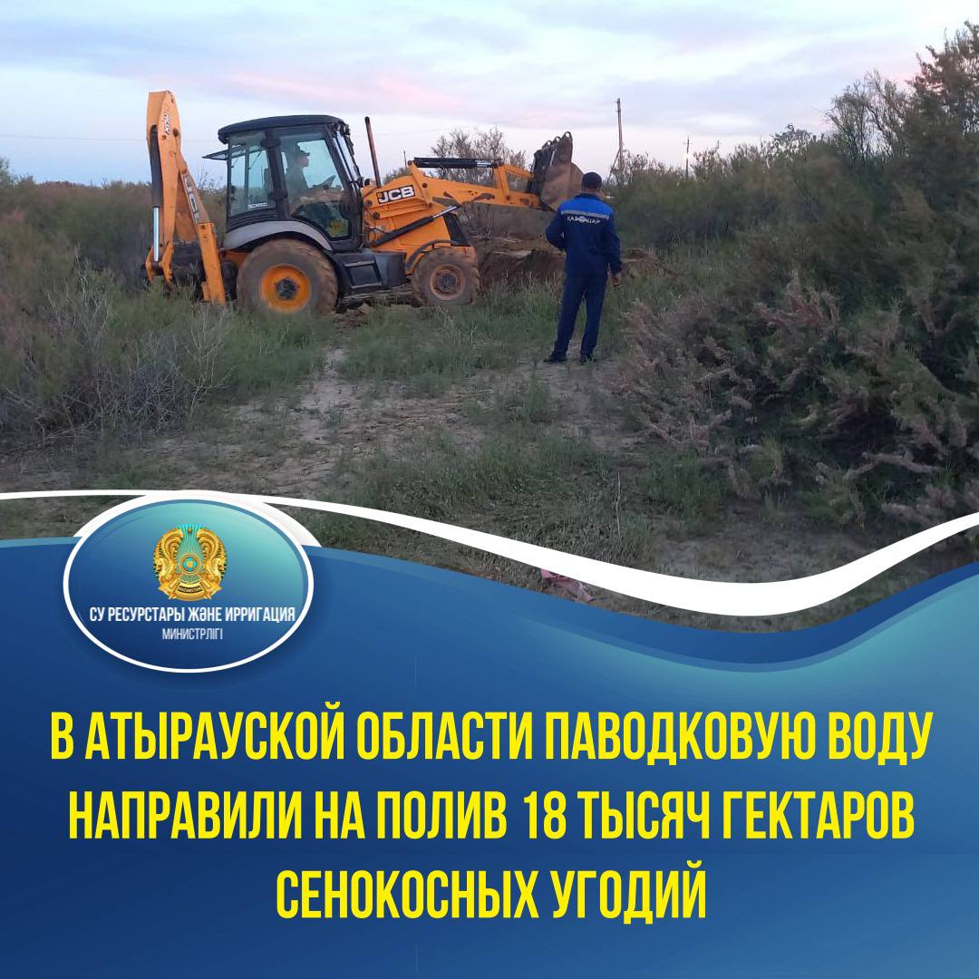 В Атырауской области паводковую воду направили на полив 18 тысяч гектаров сенокосных угодий