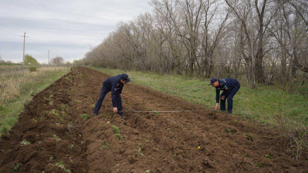 Үйдегі жалаңаш аналар суреттері