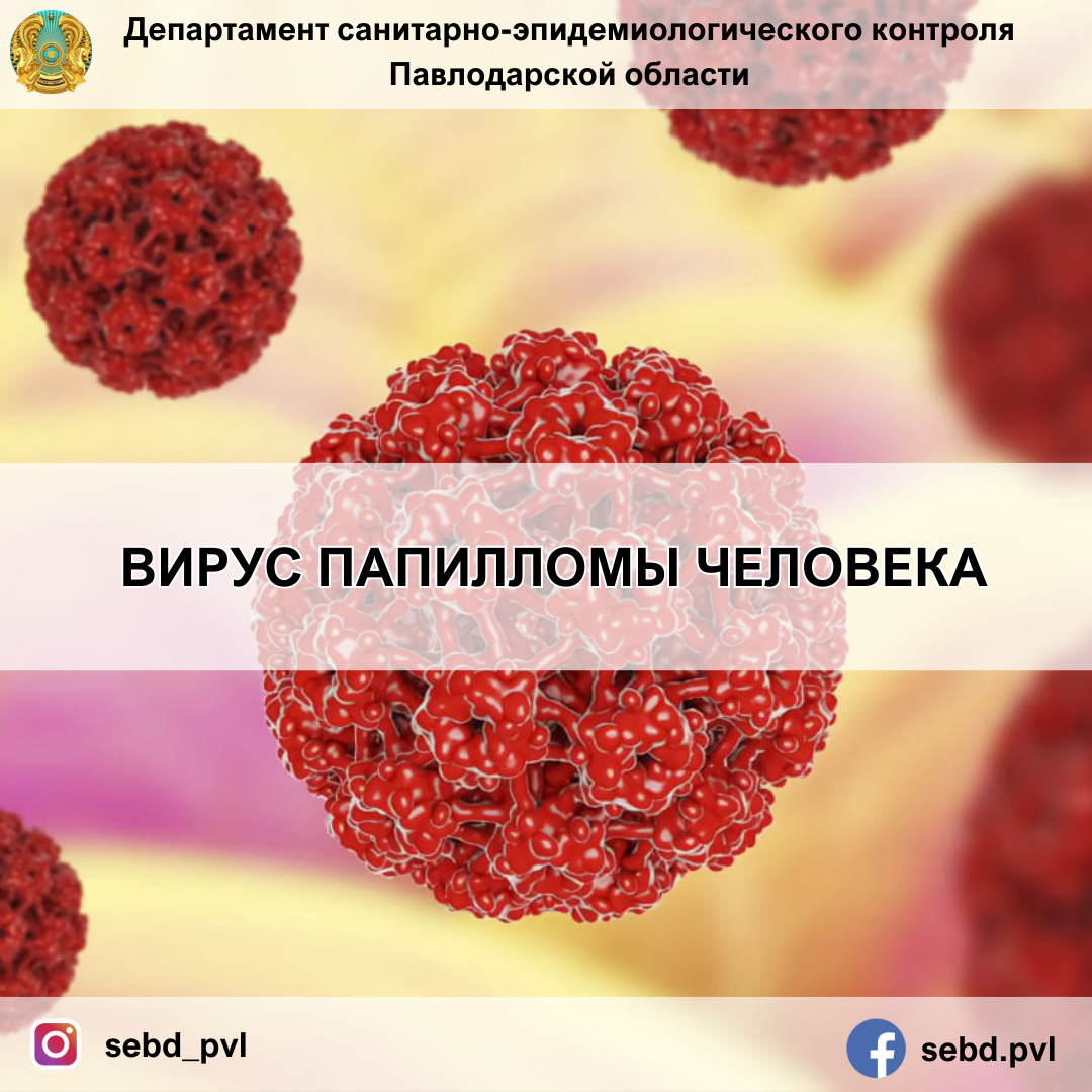 Қынап пен анус арасындағы папилломалар