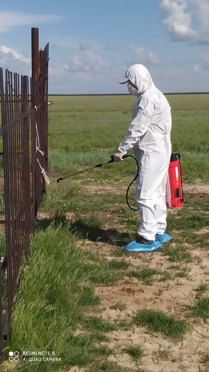 В пострадавших от паводков районах ЗКО завершена дезинфекция воды и домов