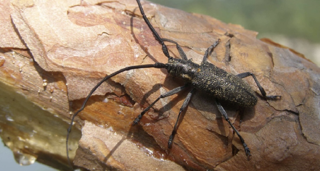 Түрлі BBW порно фотосуреттер Романтикалық секс туралы толық метражды онлайн порно фильм