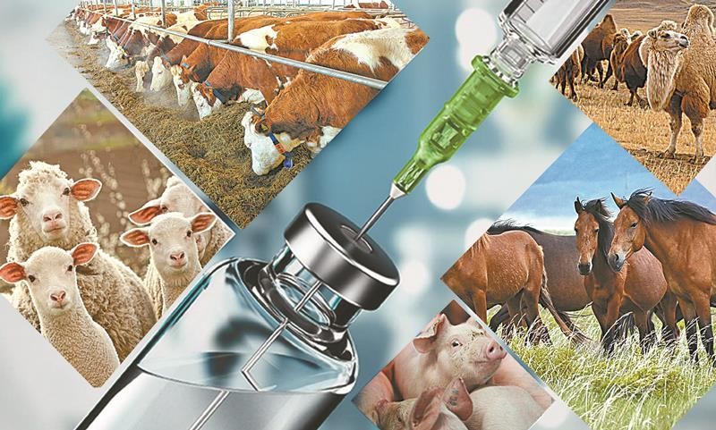 Внесение сведений о сельскохозяйственных животных в информационную систему ИСЖ